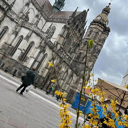 Old Town Single El Moly