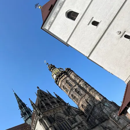 Old Town Single El Moly ホステル *