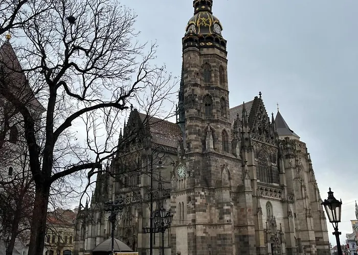 Hostel Old Town Single El Moly