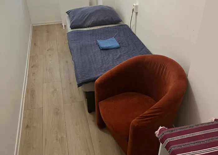 Old Town Single El Moly *